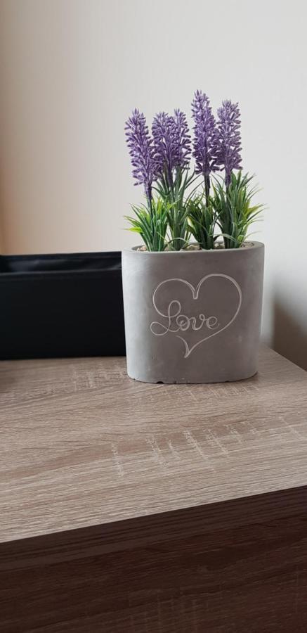 Boglarka Apartman Hajdúszoboszló 외부 사진